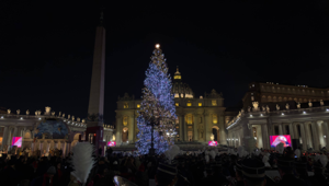 Ledworks illumina per il quarto anno consecutivo l’albero di Natale in Piazza San Pietro nel segno del Giubileo