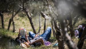 Il 27 e 28 aprile torna 'Pic & Nic a Trevi. Arte, musica e merende tra gli olivi'