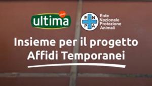 Ultima Petfood torna on air con Più Umani per il progetto Affidi Temporanei. Creatività a cura di VML Spagna