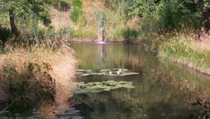 Tornano le Giornate delle Oasi: cinque i weekend con 150 eventi e aperture straordinarie in tutta Italia. Vanzago e Valpredina protagoniste degli eventi organizzati dal WWF in Lombardia