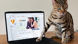 Unieuro e BCube agganciano i social con due personaggi: il social media manager del brand e il suo gatto. In pochi giorni +85mile interazioni per il lancio di un prodotto