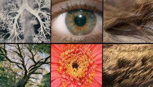 Beko utilizza per la prima volta l'Intelligenza Artificiale combinandola con la bellezza della natura per la sua nuova campagna sulla sostenibilità intitolata "Connections", creata da Seyhan Lee