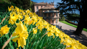 Villa del Grumello apre la stagione 2025 con la terza edizione de “Humanities Festival”. Al via un ampio ventaglio di eventi e attività
