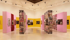 Triennale Milano ospita la mostra della 3ª edizione del Photo Grant Deloitte incentrata sul tema "Contrast"