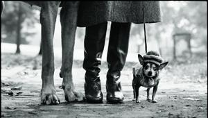 Lavazza e Mudec regalano una pausa ad arte: la mostra Elliott Erwitt. Family raccontata dalla curatrice Biba Giacchetti in cinque videopillole