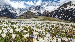 Valtellina Turismo partecipa all'edizione 2019 della Bit a Milano dal 10 al 12 febbraio