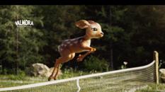 Valmora evolve il proprio racconto di marca e si afferma come “L’Acqua del Tennis Italiano” con una nuova versione dello spot istituzionale firmata Armando Testa