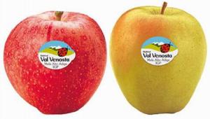 Online i video biography di Mela Val Venosta firmati da Coee