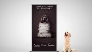  Vetoquinol Italia sceglie Integra Solutions per la campagna di lancio di New Flexadin Advanced
