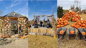 Grande successo per il Villaggio delle Zucche di Nonno Andrea: oltre 40 mila ingressi nei primi 10 giorni d’apertura