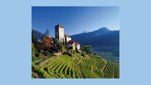 Sopexa vince la gara del Consorzio Vini Alto Adige per le iniziative promozionali in Uk e Svizzera. Budget di 1,2 milioni