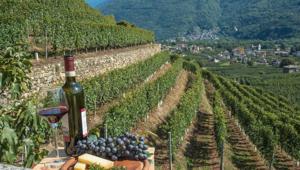 “AssaporiAMO la Valtellina” sbarca a Genova con un viaggio enogastronomico nel centro storico del capoluogo ligure. Firma Pr&Go Up Communication Partners