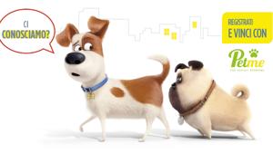 In occasione dell'uscita del film 'Pets – Vita da  Animali' al via il concorso di PetMe