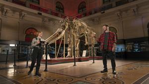 Nel nuovo spot con Alessandro Cattelan, Vodafone propone un’offerta multi-prodotto che permette di aggiungere all’offerta di rete fissa una Smart TV, una console di gioco o una telecamera smart