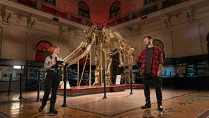 Vodafone racconta in un video con Cattelan smart TV, gaming e smart home unite in un'unica offerta. Creatività di Utopia