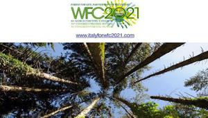 L'Italia e Milano si candidano per ospitare WCF - Congresso Mondiale delle Foreste 2021
