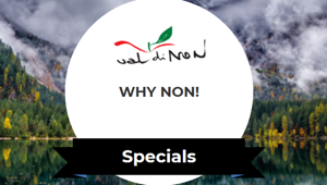 La Val Di Non lancia il contest 'Why non!' per un nuovo racconto del suo territorio