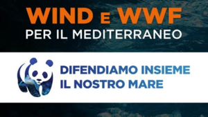 Wind e WWF insieme per difendere il Mediterraneo