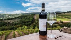 Wine experience a Tenuta di Artimino