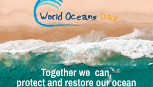 Focus celebra la Giornata Mondiale degli Oceani con una maratona dedicata alla salvaguardia delle bellezze e delle risorse del mare