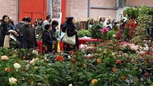 WOW! Modena per gli amanti  del verde e degli animali. Al quartiere fieristico sabato 9 e domenica 10 marzo