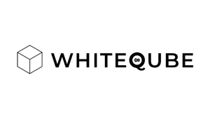 Debutta WhiteQube, la start-up che unisce produzione e AI: Federico Salvi nominato CEO
