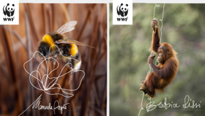 Una firma per riscrivere il destino di tante specie a rischio: WWF lancia la campagna 5x1000 a cura di ACNE