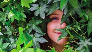 Nell’ambito del programma di cittadinanza d’impresa “P&G per l’Italia”, WWF e Procter & Gamble inaugurano la nuova Aula Natura di Milano