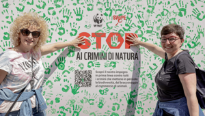 WWF si affida a Mai Tai per "L'impronta del Colpevole", l’installazione posta in Piazza di Spagna che denuncia i crimini contro la natura
