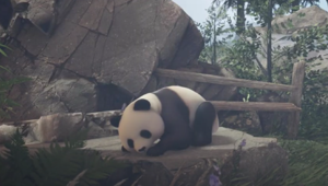 Con #OceanDetox, WWF Germania e Savespecies aprono il primo spazio espositivo nel Metaverso