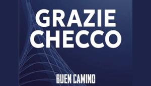 Pier Silvio Berlusconi celebra il successo di Buen Camino e di Zalone
