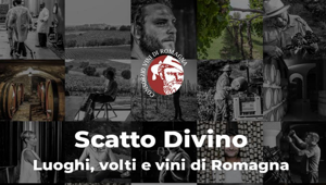 Tutti in vigna con LDB e “Scatto divino”, la mostra virtuale per supportare il consorzio vini di Romagna