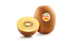 Zespri Kiwifruit rafforza la sua presenza nel tennis italiano annunciando la sua partecipazione al Fan Village della Coppa Davis Final 8 – Bologna 2025