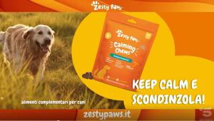 Zesty Paws sceglie in esclusiva le soluzioni pubblicitarie di Gruppo Mediaset per la campagna dei nuovi integratori per il benessere dei cani. Progetto integrato  off e on line di Publitalia ‘80 e Mediamond