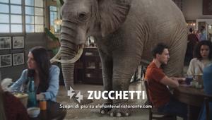 “C’è un elefante nel tuo ristorante?” Zucchetti risponde con la campagna pensata e realizzata da NEXT14