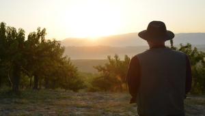 Debutta lo spot “I frutteti di Oswald Zuegg” a cura di Marimo e Mindshare